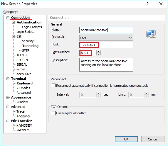 SSH Connection 1